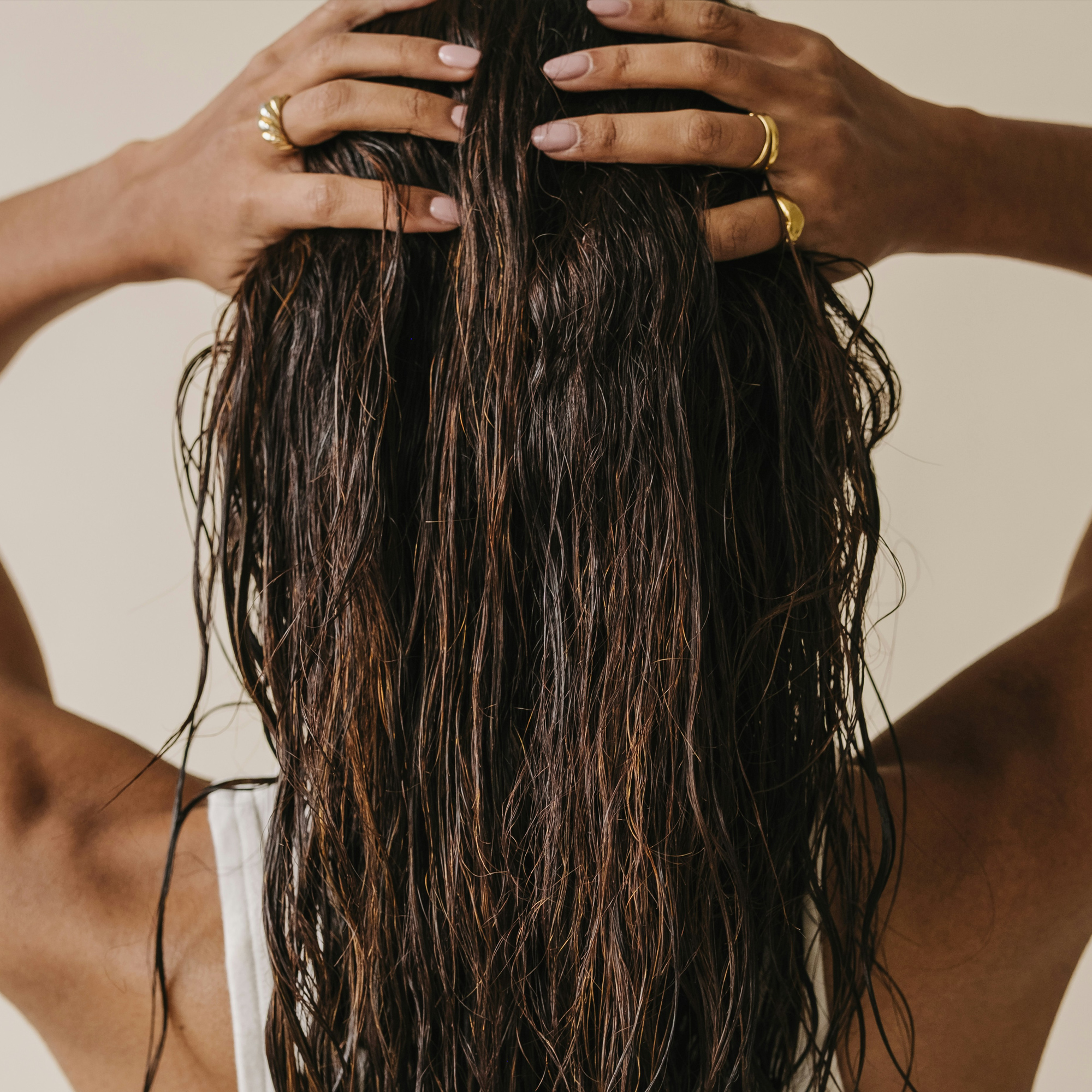 Purify. Refresh. Revitalize.